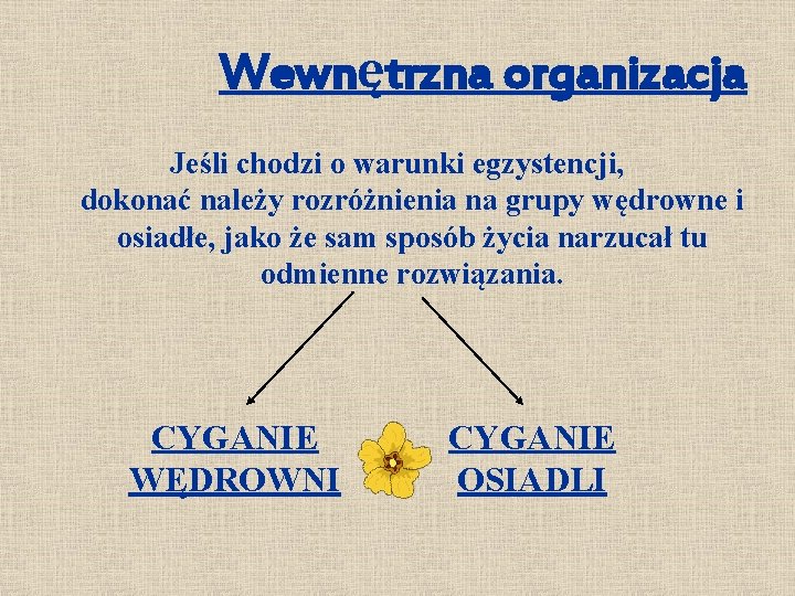 Wewnętrzna organizacja Jeśli chodzi o warunki egzystencji, dokonać należy rozróżnienia na grupy wędrowne i