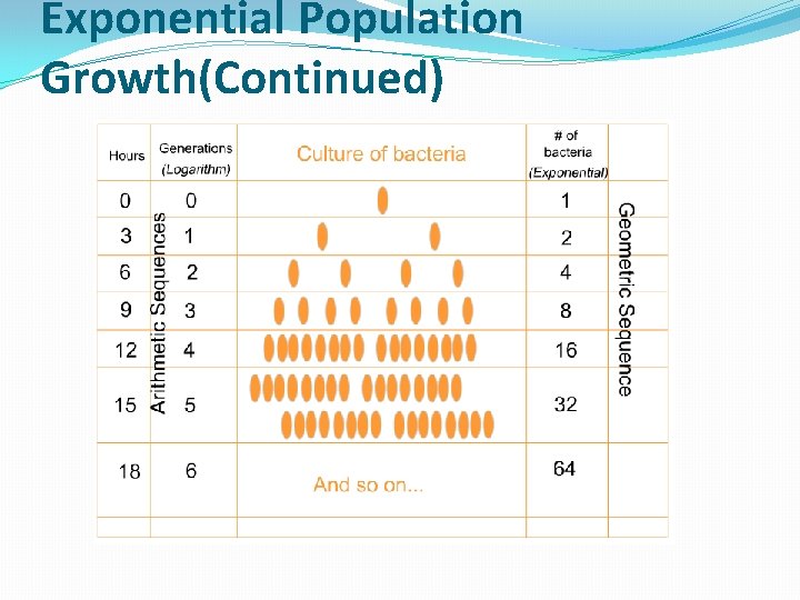 Exponential Population Growth(Continued) 