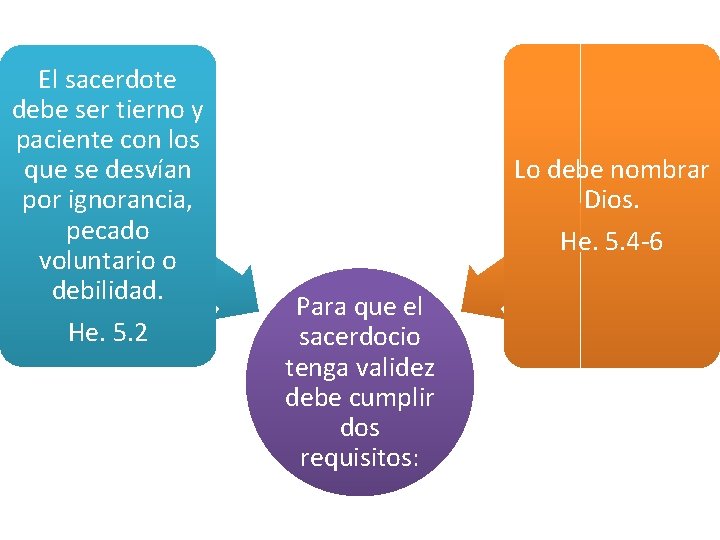 El sacerdote debe ser tierno y paciente con los que se desvían por ignorancia,