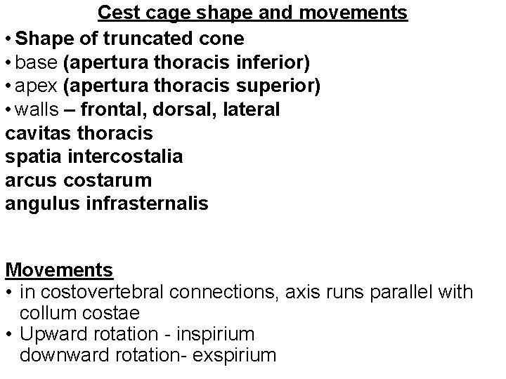 articulatio ellipsoidea movements)