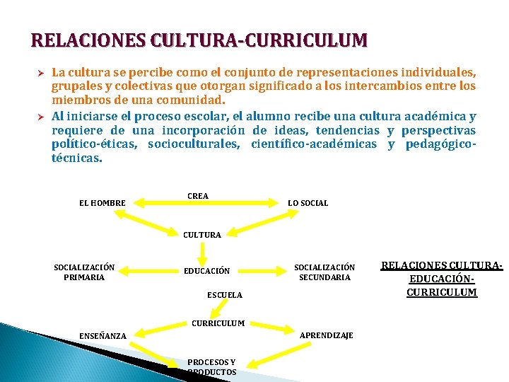 RELACIONES CULTURA-CURRICULUM Ø Ø La cultura se percibe como el conjunto de representaciones individuales,