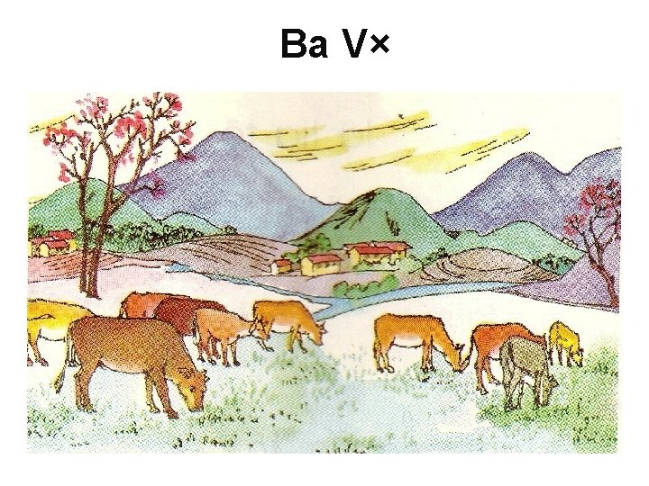 Ba V× 