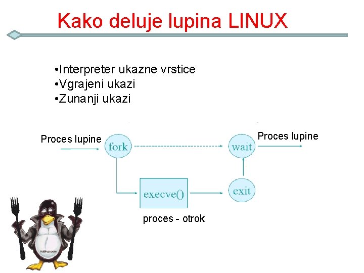 Kako deluje lupina LINUX • Interpreter ukazne vrstice • Vgrajeni ukazi • Zunanji ukazi