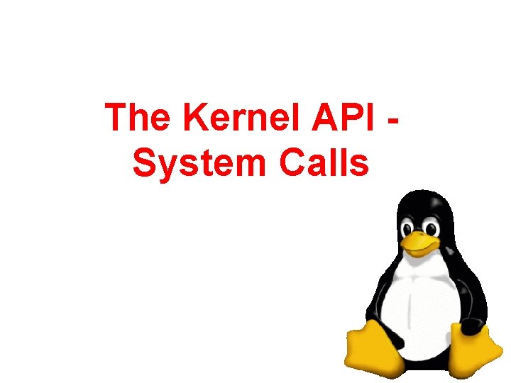 The Kernel API System Calls 