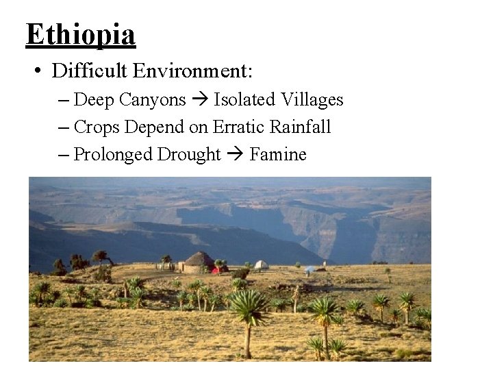 Ethiopia • Difficult Environment: – Deep Canyons Isolated Villages – Crops Depend on Erratic