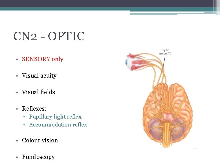 CN 2 - OPTIC • SENSORY only • Visual acuity • Visual fields •