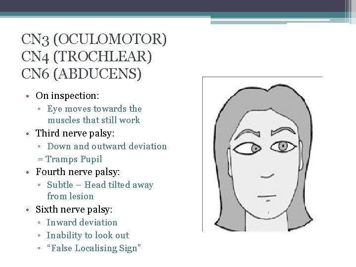 CN 3 (OCULOMOTOR) CN 4 (TROCHLEAR) CN 6 (ABDUCENS) • On inspection: ▫ Eye