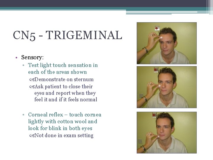 CN 5 - TRIGEMINAL • Sensory: ▫ Test light touch sensation in each of