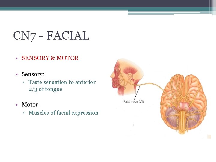 CN 7 - FACIAL • SENSORY & MOTOR • Sensory: ▫ Taste sensation to