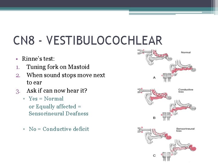 CN 8 - VESTIBULOCOCHLEAR • Rinne’s test: 1. Tuning fork on Mastoid 2. When