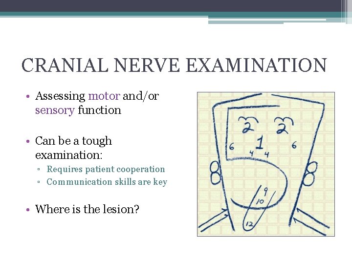 CRANIAL NERVE EXAMINATION • Assessing motor and/or sensory function • Can be a tough