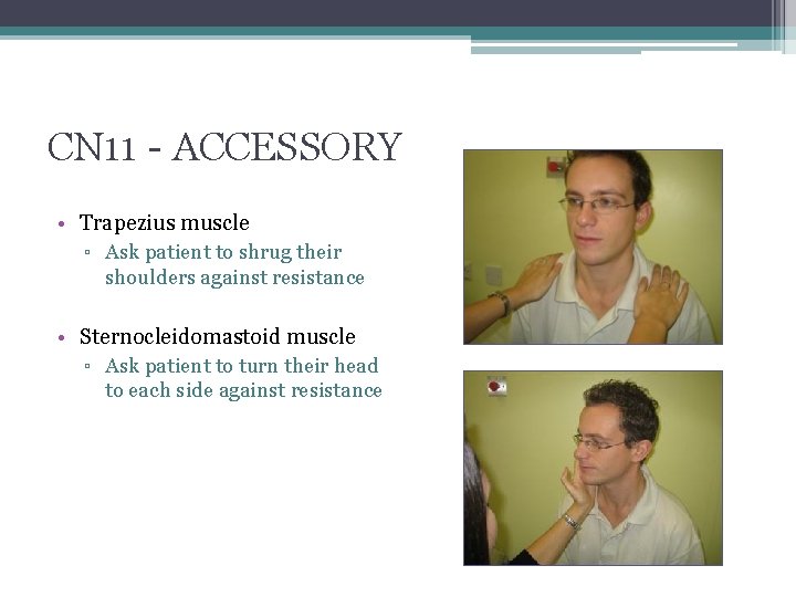 CN 11 - ACCESSORY • Trapezius muscle ▫ Ask patient to shrug their shoulders