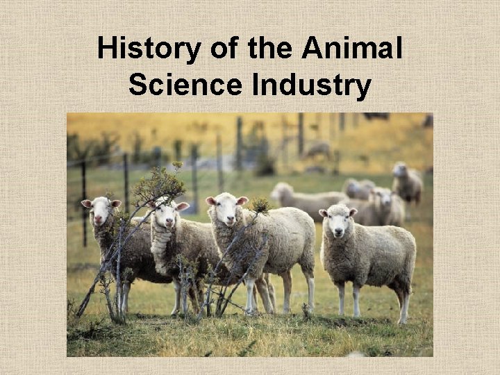 History of the Animal Science Industry 