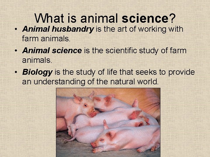 What is animal science? • Animal husbandry is the art of working with farm