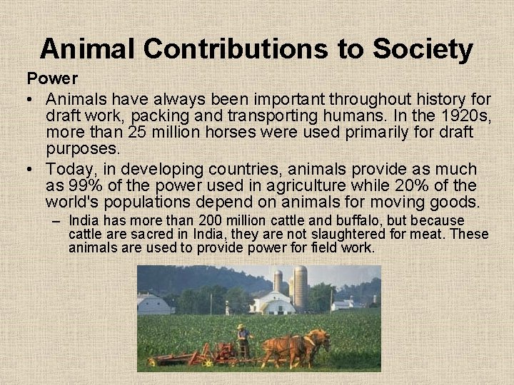 Animal Contributions to Society Power • Animals have always been important throughout history for