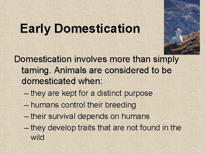 Early Domestication involves more than simply taming. Animals are considered to be domesticated when: