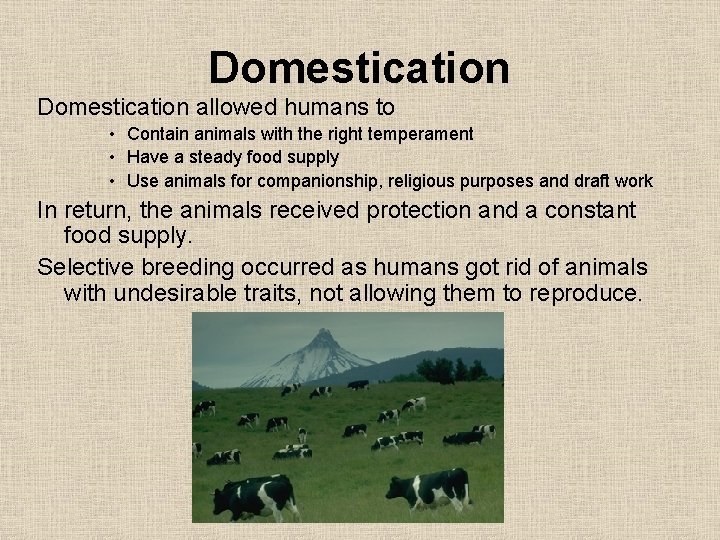 Domestication allowed humans to • Contain animals with the right temperament • Have a