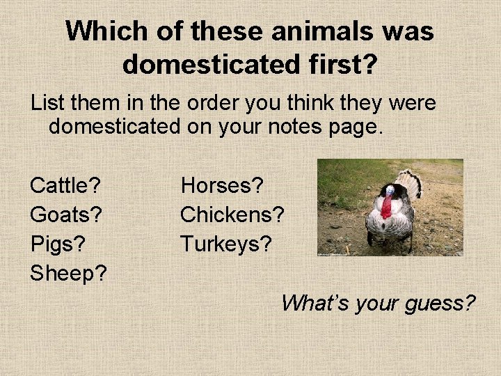Which of these animals was domesticated first? List them in the order you think