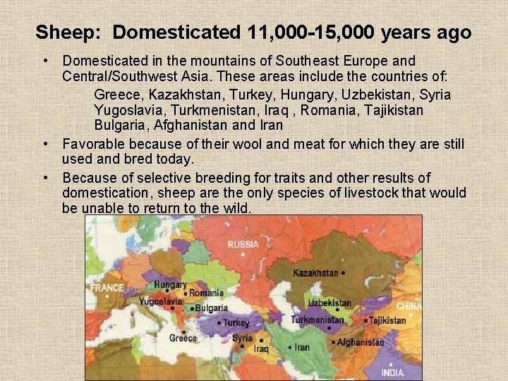 Sheep: Domesticated 11, 000 -15, 000 years ago • Domesticated in the mountains of