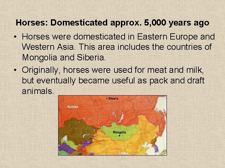 Horses: Domesticated approx. 5, 000 years ago • Horses were domesticated in Eastern Europe