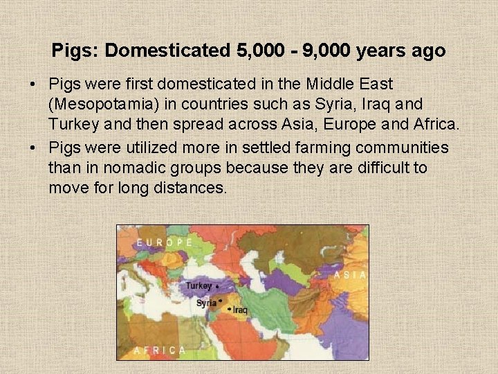 Pigs: Domesticated 5, 000 - 9, 000 years ago • Pigs were first domesticated