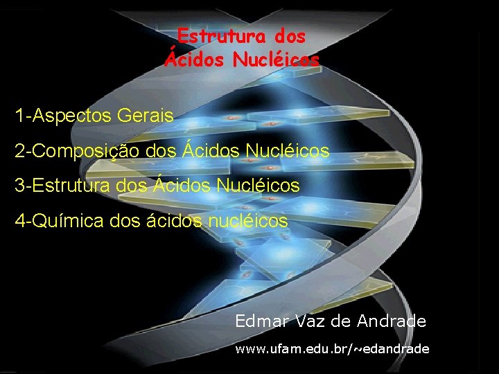 Estrutura dos Ácidos Nucléicos 1 -Aspectos Gerais 2 -Composição dos Ácidos Nucléicos 3 -Estrutura