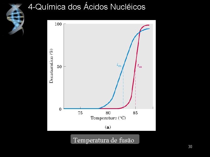 4 -Química dos Ácidos Nucléicos Temperatura de fusão 30 
