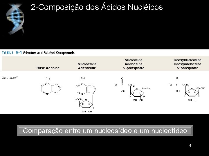 2 -Composição dos Ácidos Nucléicos Comparação entre um nucleosídeo e um nucleotídeo 4 