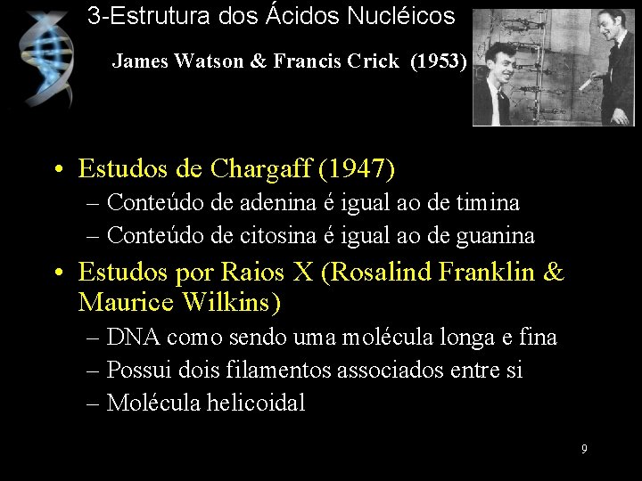 3 -Estrutura dos Ácidos Nucléicos James Watson & Francis Crick (1953) • Estudos de