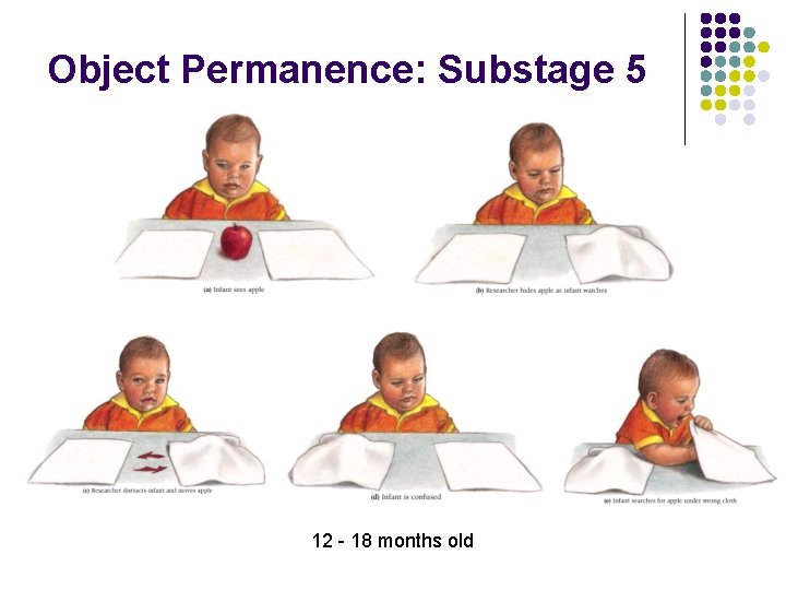 Object Permanence: Substage 5 12 - 18 months old 
