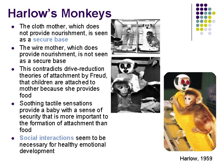 Harlow’s Monkeys l l l The cloth mother, which does not provide nourishment, is