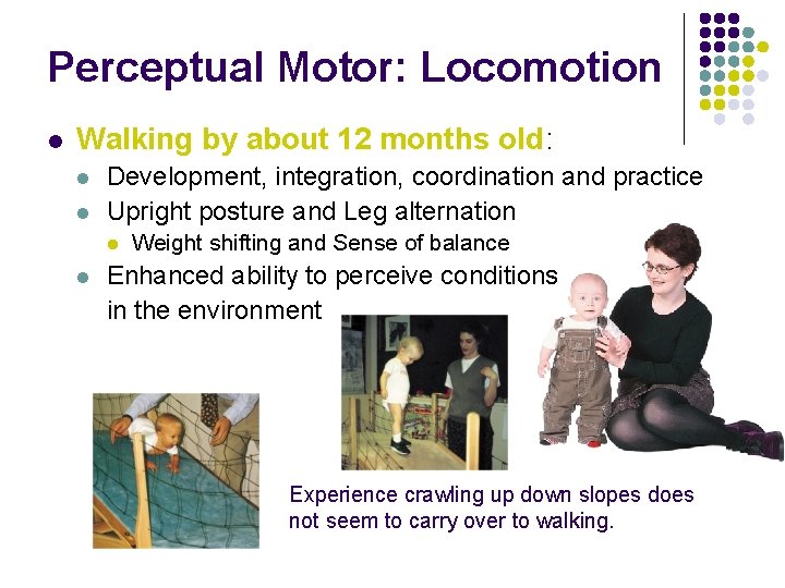 Perceptual Motor: Locomotion l Walking by about 12 months old: l l Development, integration,