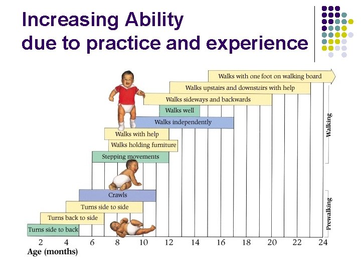 Increasing Ability due to practice and experience 