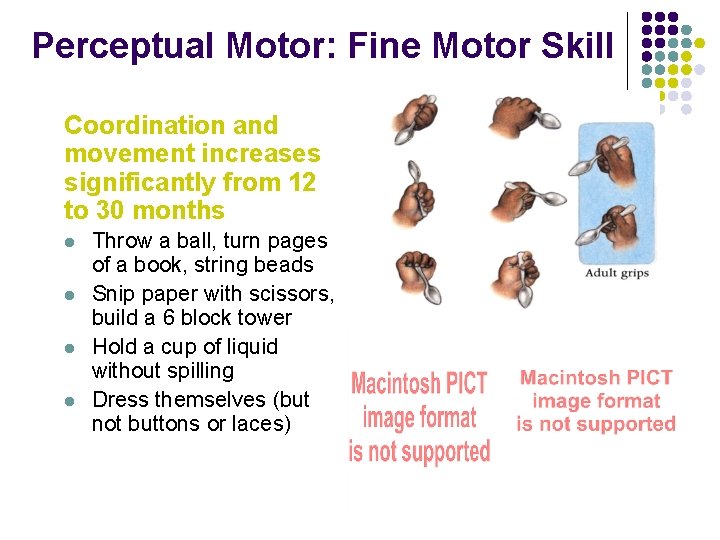 Perceptual Motor: Fine Motor Skill Coordination and movement increases significantly from 12 to 30