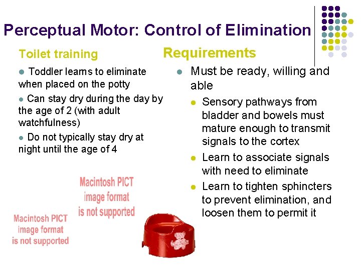 Perceptual Motor: Control of Elimination Toilet training l Toddler learns to eliminate when placed