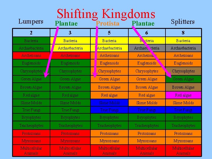 Lumpers Shifting Kingdoms Plantae Protista Plantae Splitters 2 3 5 6 8 Bacteria Bacteria