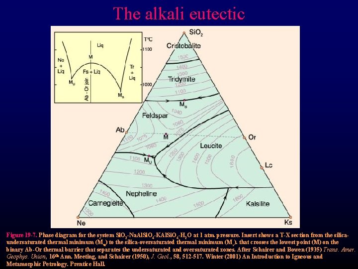 The alkali eutectic Figure 19 -7. Phase diagram for the system Si. O 2