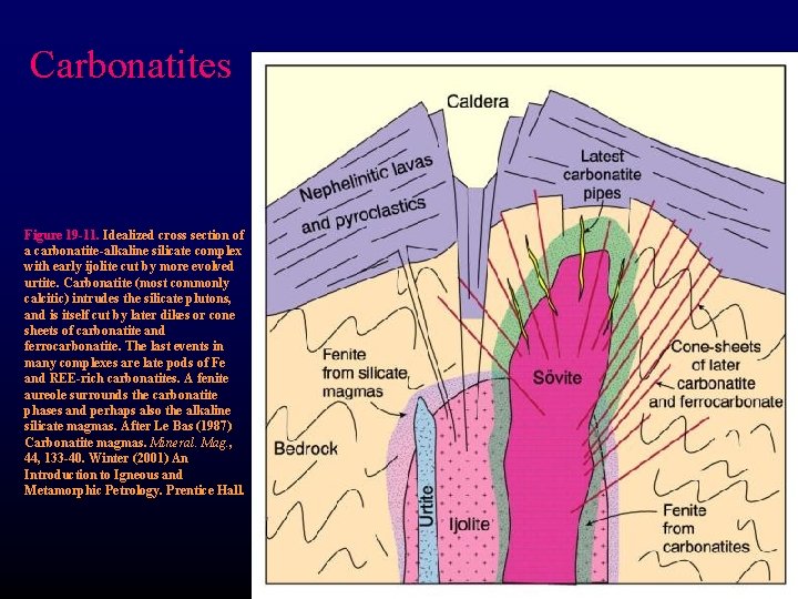 Carbonatites Figure 19 -11. Idealized cross section of a carbonatite-alkaline silicate complex with early