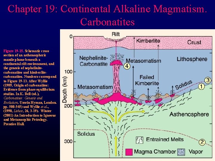 Chapter 19: Continental Alkaline Magmatism. Carbonatites Figure 19 -15. Schematic cross section of an