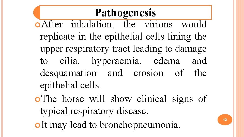  After Pathogenesis inhalation, the virions would replicate in the epithelial cells lining the