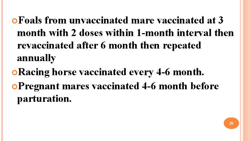  Foals from unvaccinated mare vaccinated at 3 month with 2 doses within 1