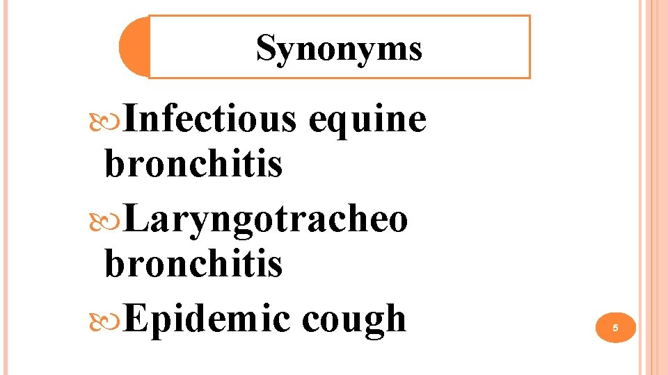 Synonyms Infectious equine bronchitis Laryngotracheo bronchitis Epidemic cough 5 