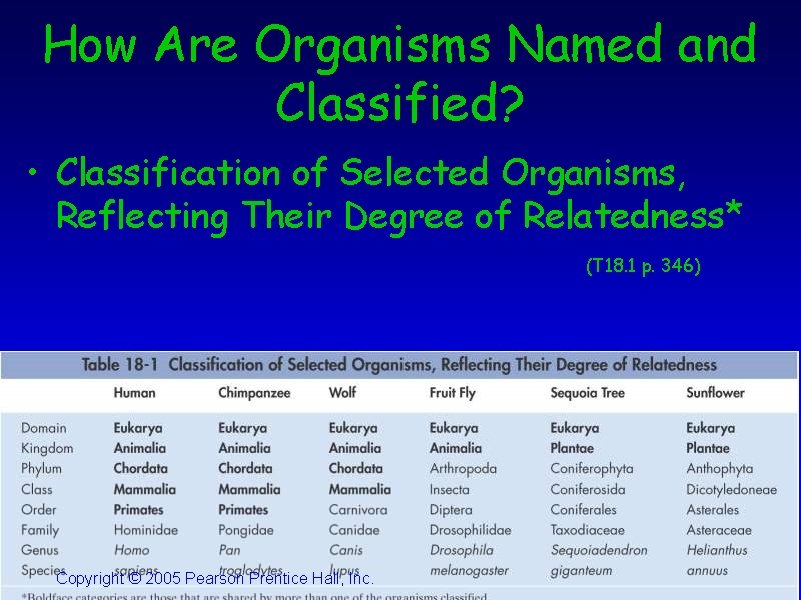 How Are Organisms Named and Classified? • Classification of Selected Organisms, Reflecting Their Degree