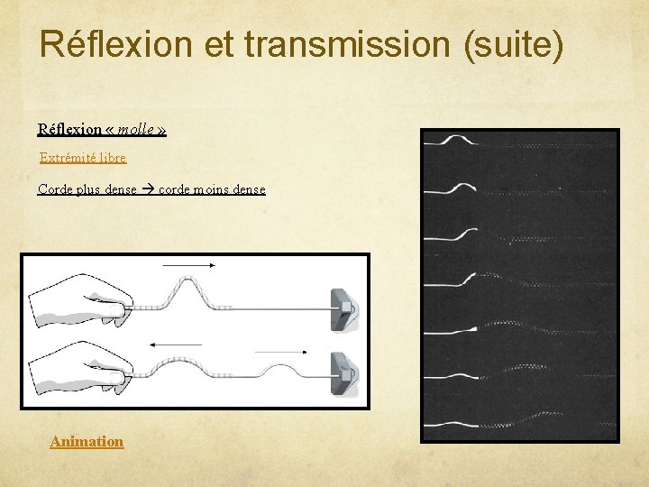 Réflexion et transmission (suite) Réflexion « molle » Extrémité libre Corde plus dense corde
