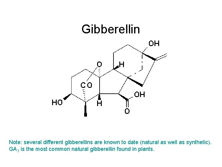 Gibberellin Gibberellic acid 3 Note: several different gibberellins are known to date (natural as