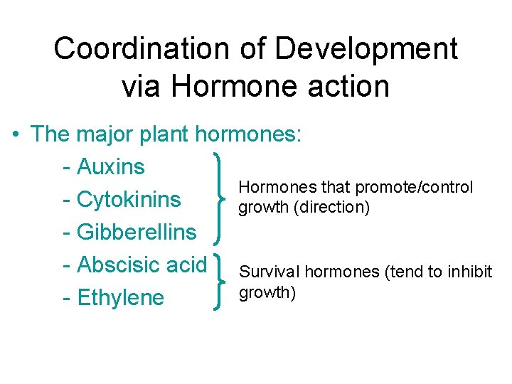 Coordination of Development via Hormone action • The major plant hormones: - Auxins Hormones