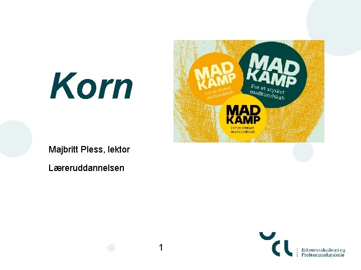 Korn Majbritt Pless, lektor Læreruddannelsen 1 