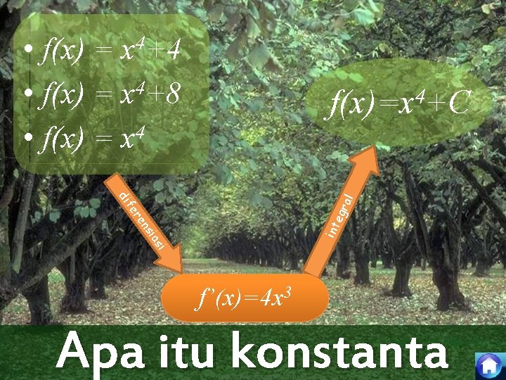  • f(x) = x 4+4 • f(x) = x 4+8 • f(x) =