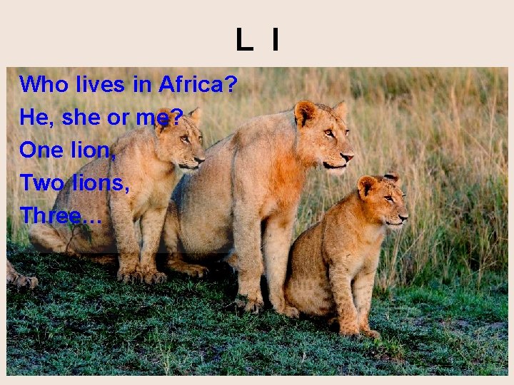 L l Who lives in Africa? He, she or me? One lion, Two lions,