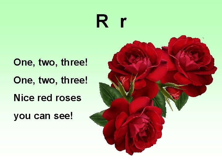 R r One, two, three! Nice red roses you can see! 